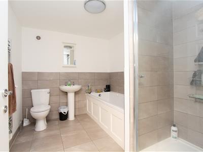 Picture 7